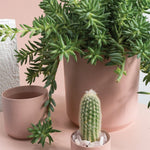 Kendall Pot