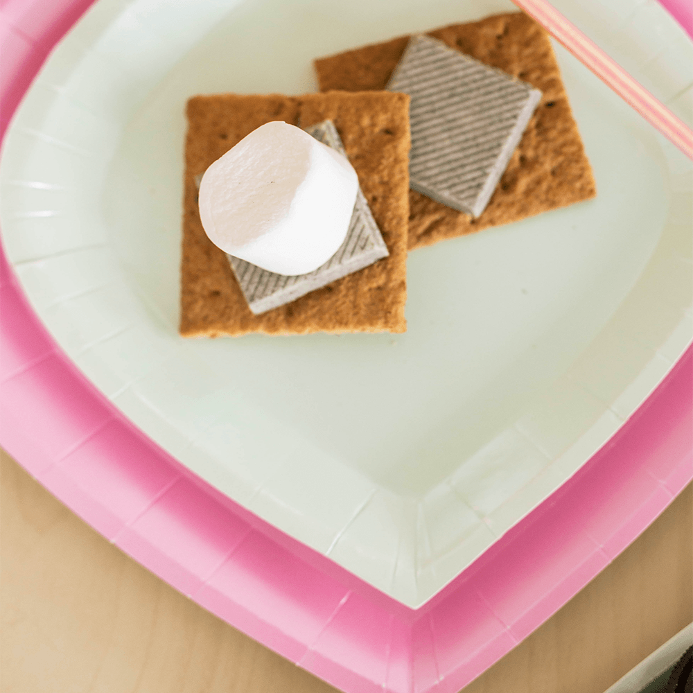 Posh PinkAholic Charger Plates from Jollity & Co