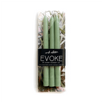 6" Skinny Tapered Candles - Succulent, Shopsweetluluss