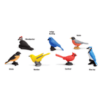 Backyard Birds TOOB®, Shopsweetluluss