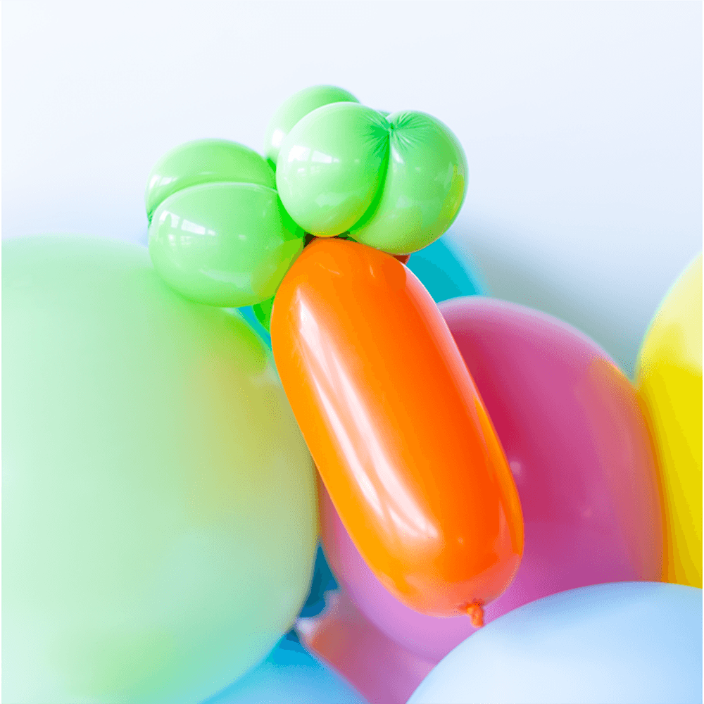 Carrot Balloon Animal Kit, Shopsweetluluss