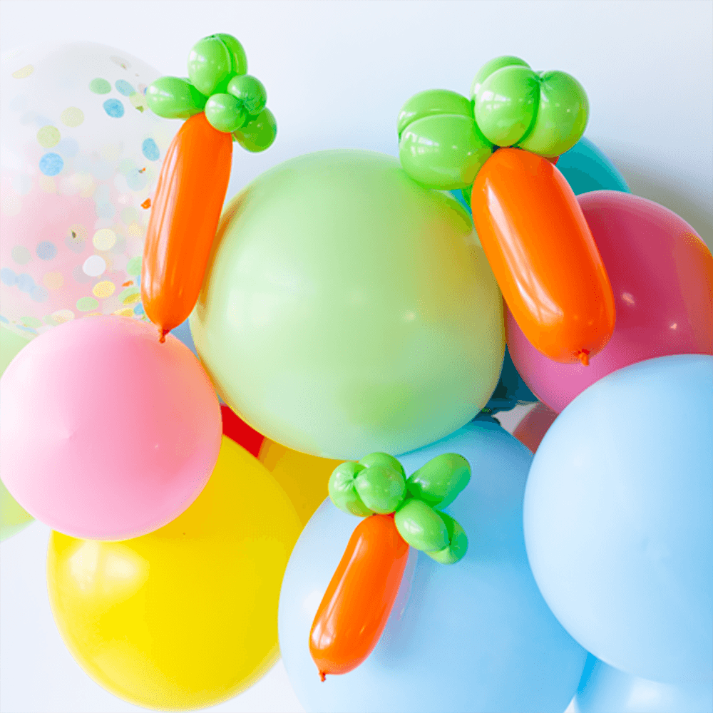 Carrot Balloon Animal Kit, Shopsweetluluss