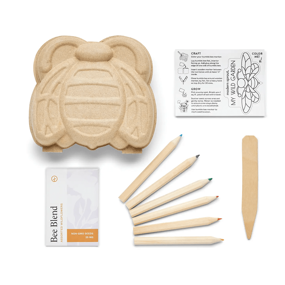 Curious Critters Bee Activity Kit, Shopsweetluluss