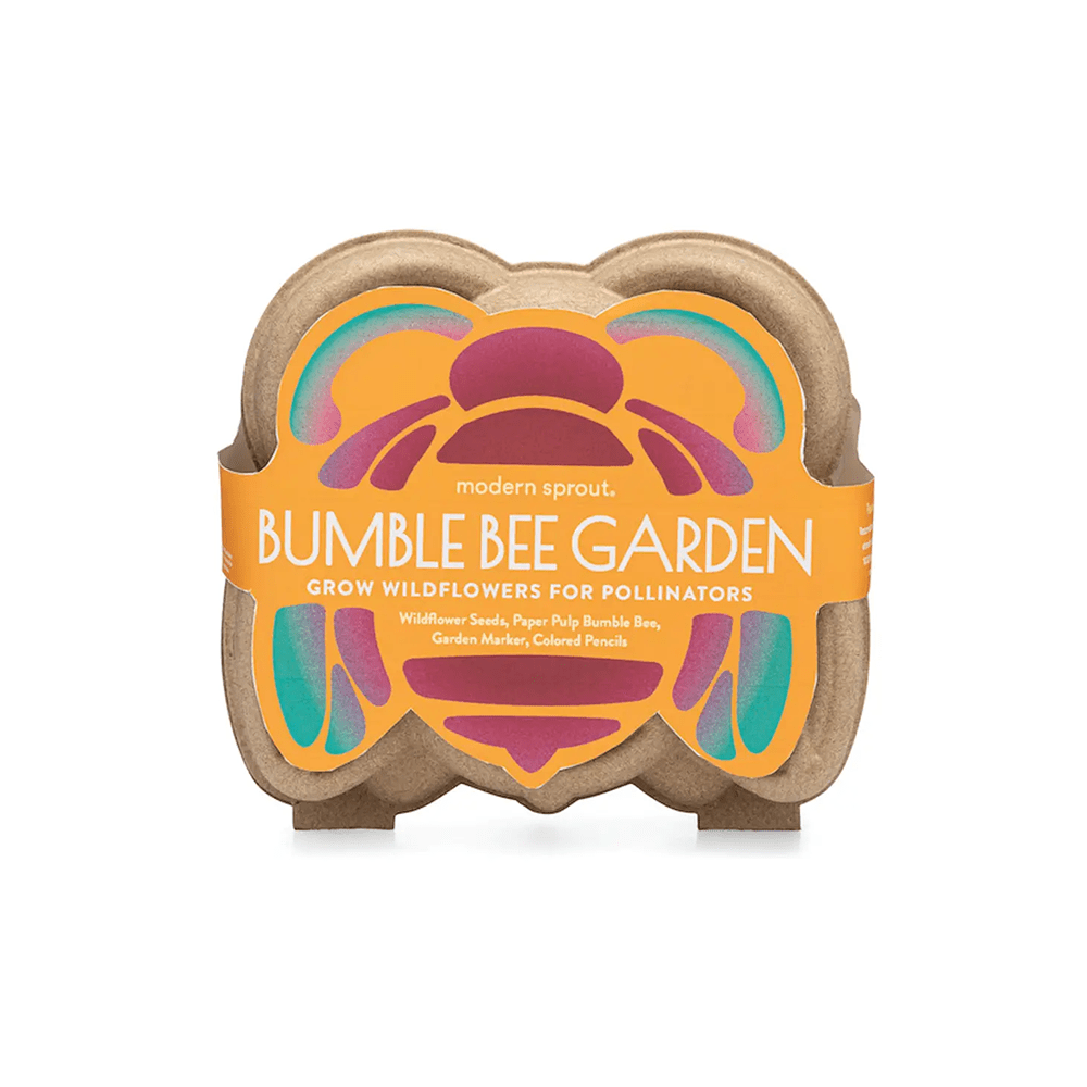 Curious Critters Bee Activity Kit, Shopsweetluluss