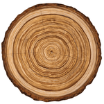 Die Cut Wood Slice Placemats, Shopsweetluluss