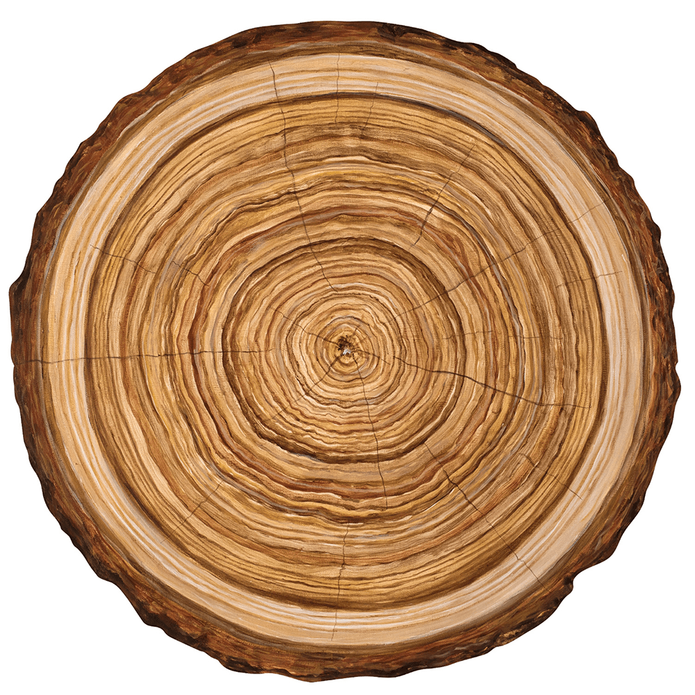 Die Cut Wood Slice Placemats, Shopsweetluluss