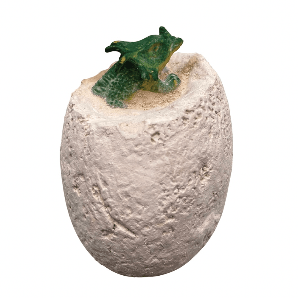 Dino Dig Excavation Kit, Shopsweetluluss