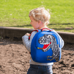 Dinosaur Backpack, Shopsweetluluss