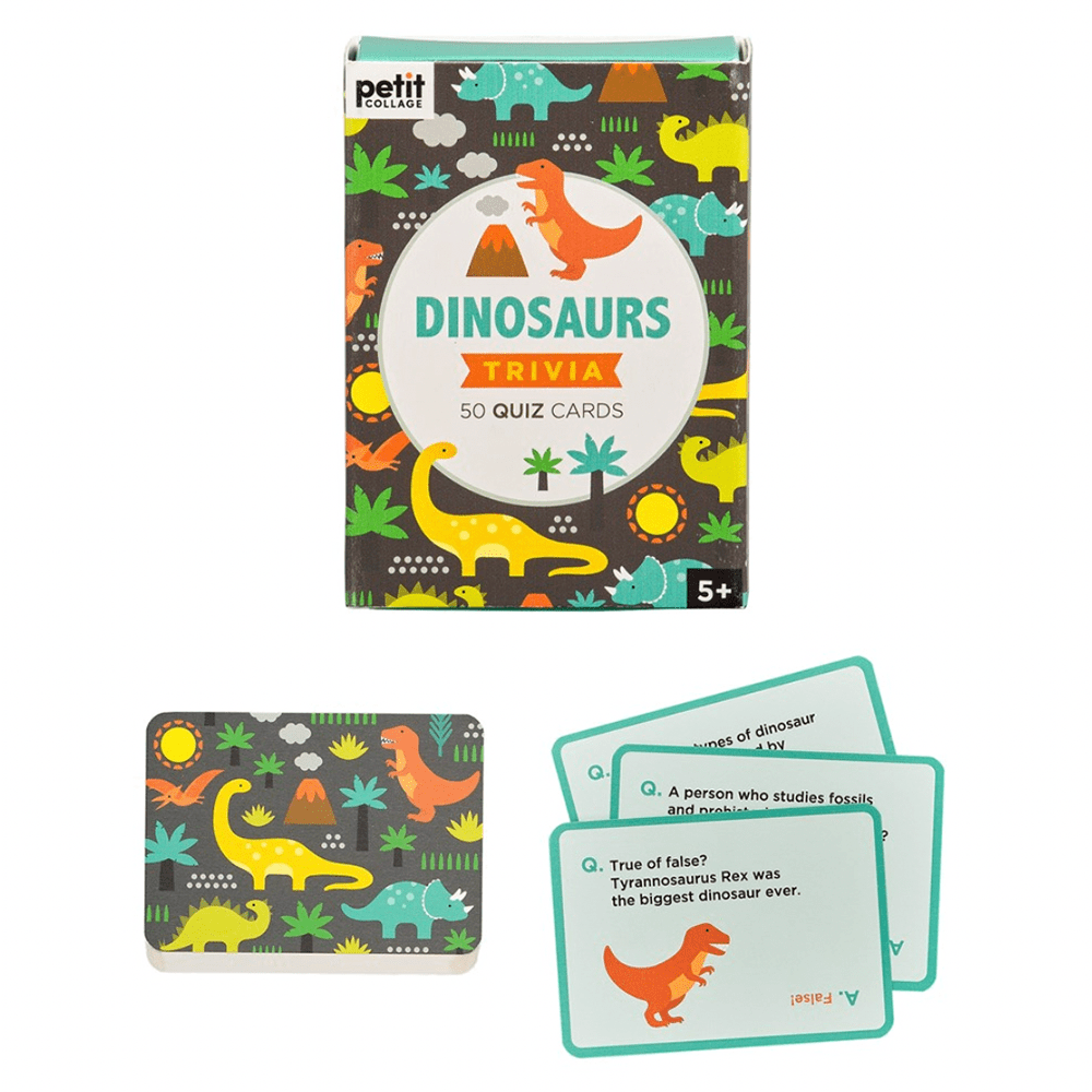Dinosaur Trivia Cards, Shopsweetluluss