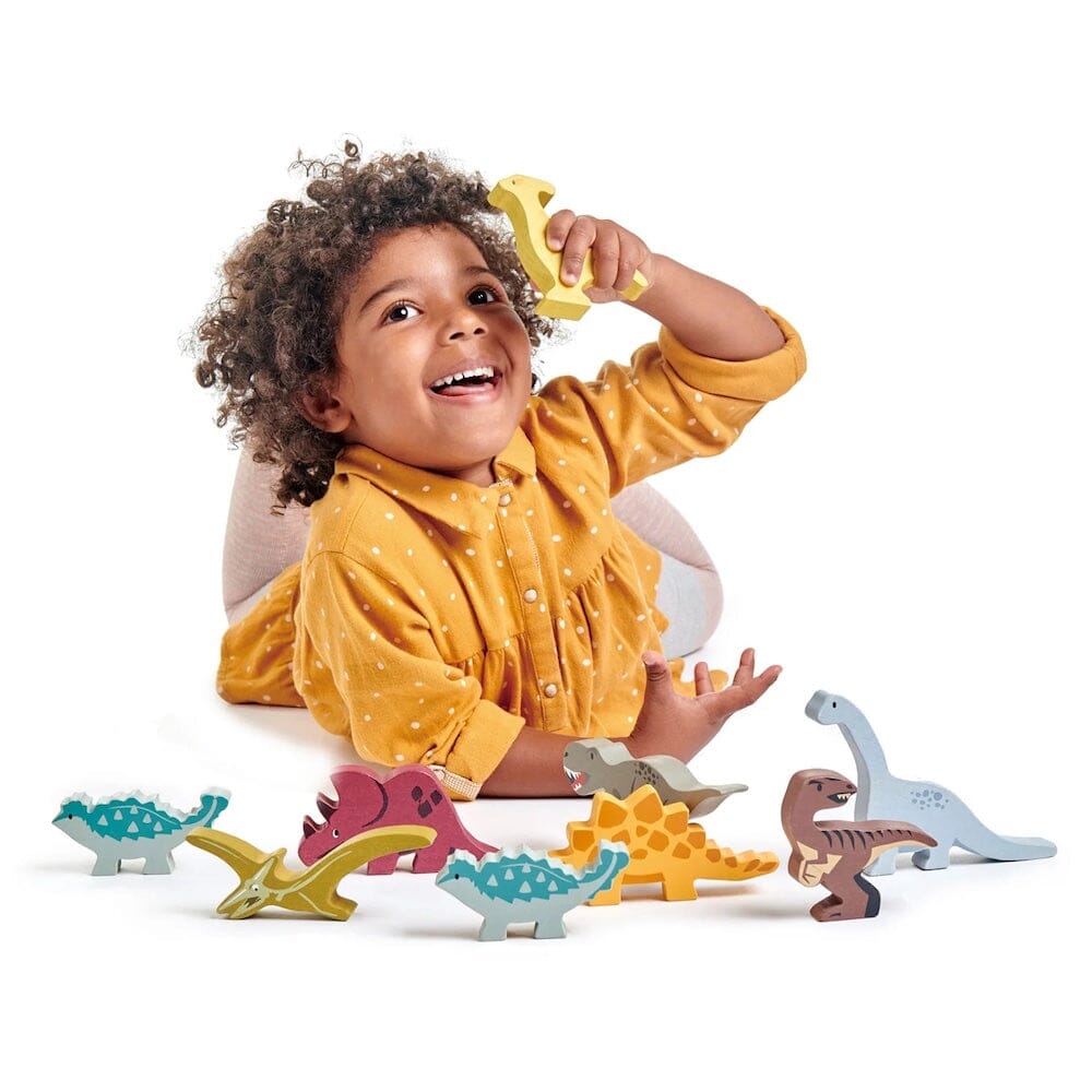 Toy Wooden Dinosaurs + Display Shelf, Shopsweetluluss