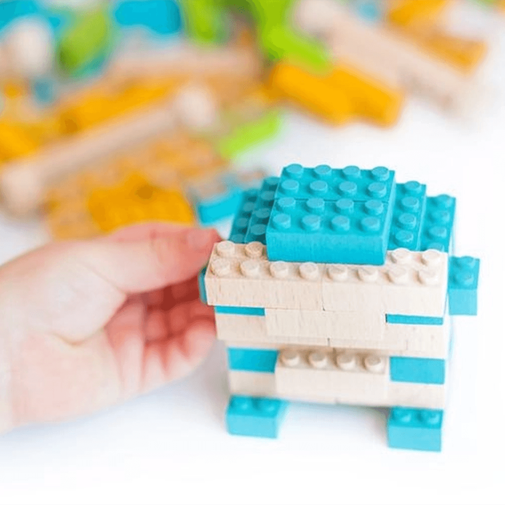 Eco-Bricks Set, Shopsweetluluss