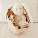 Faith The Floral Bunny Push Toy, Shopsweetluluss
