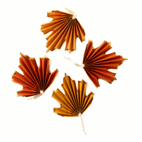 Fall Leaf Fan Banner, Shopsweetluluss