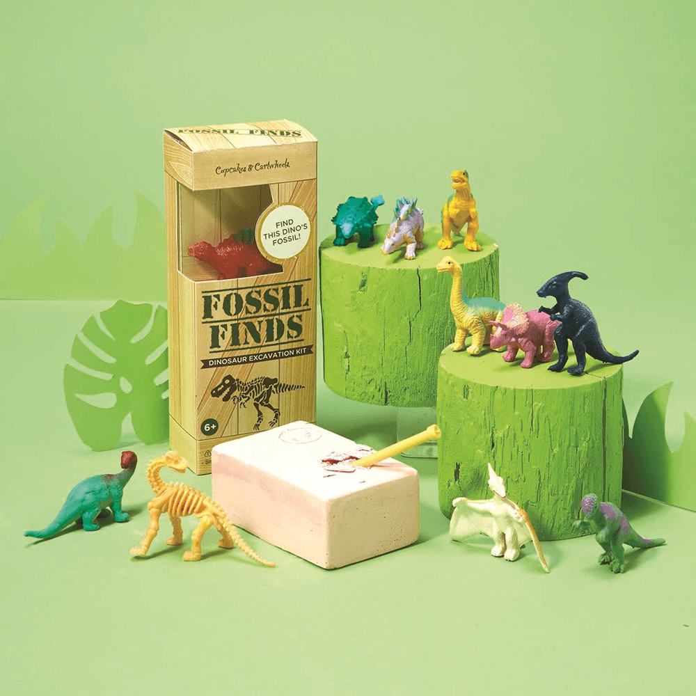 Fossil Finds Excavation Kit, Shopsweetluluss