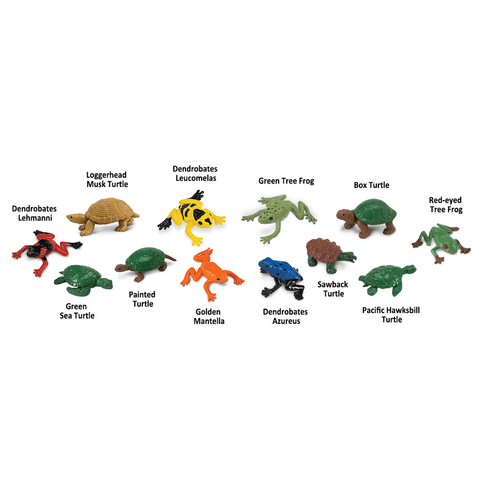 Frogs and Turtles TOOB®, Shopsweetluluss