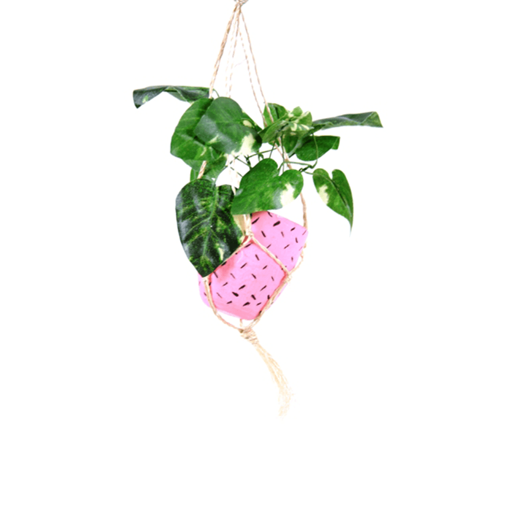 Hanging Plant Ornament - Pink, Shopsweetluluss