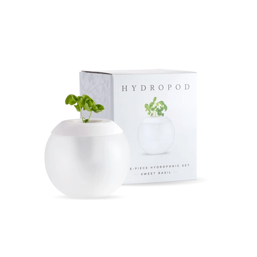 Hydropod Set - Sweet Basil, Shopsweetluluss