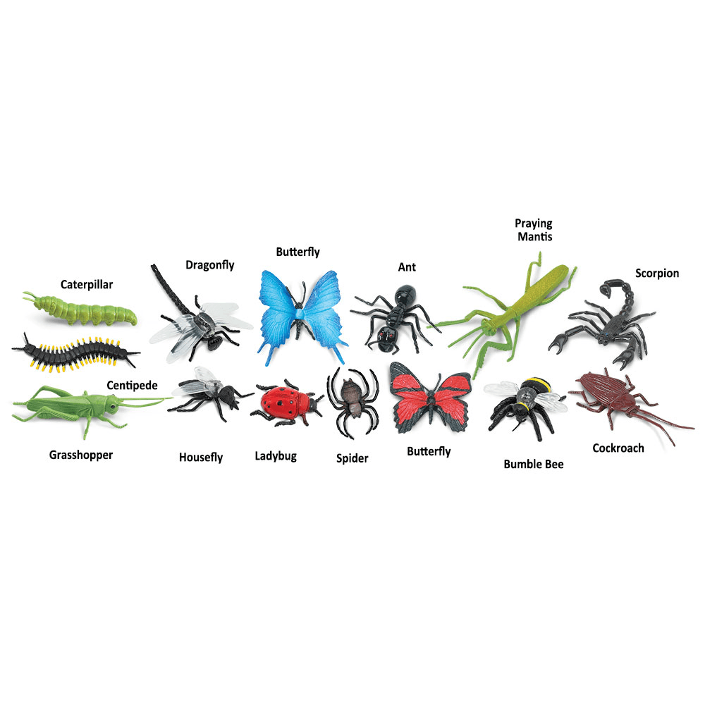 Insects TOOB®, Shopsweetluluss