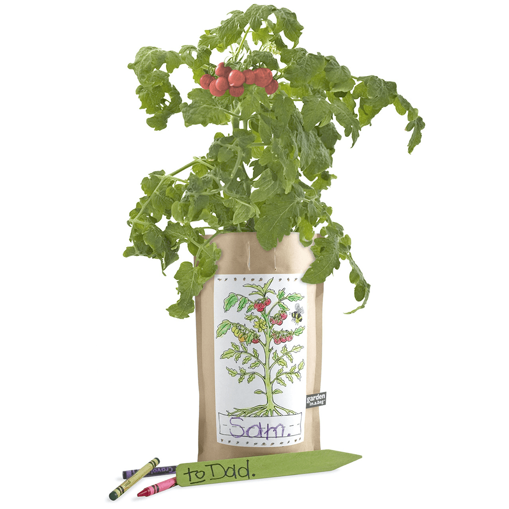 Kids Garden in a Bag - Tomato, Shopsweetluluss