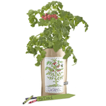 Kids Garden in a Bag - Tomato, Shopsweetluluss
