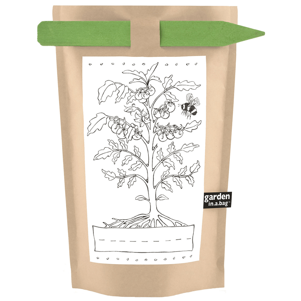 Kids Garden in a Bag - Tomato, Shopsweetluluss