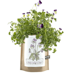 Kids Garden in a Bag - Viola, Shopsweetluluss