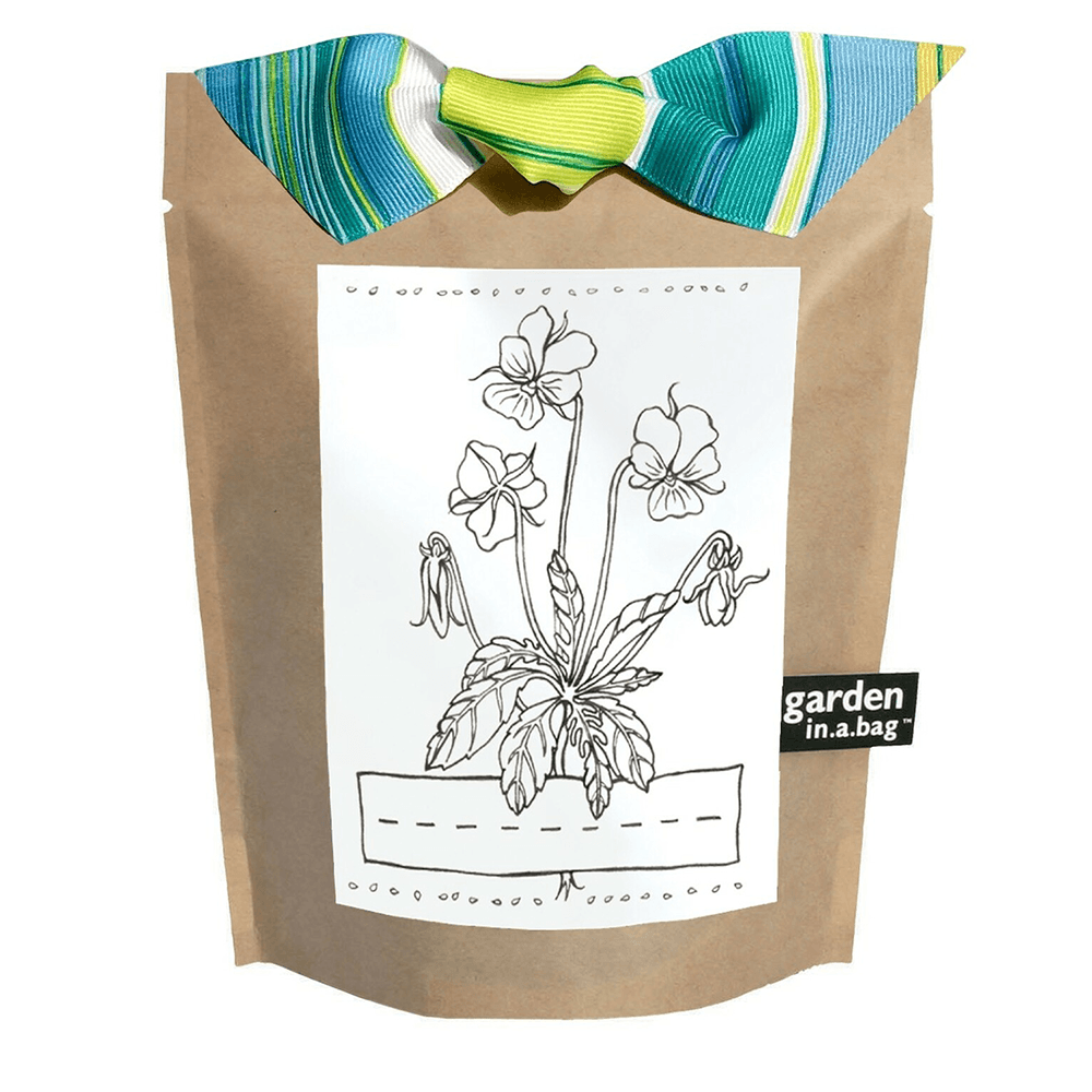 Kids Garden in a Bag - Viola, Shopsweetluluss