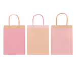 Meri Meri Pink Fringe Party Bags, Shopsweetluluss