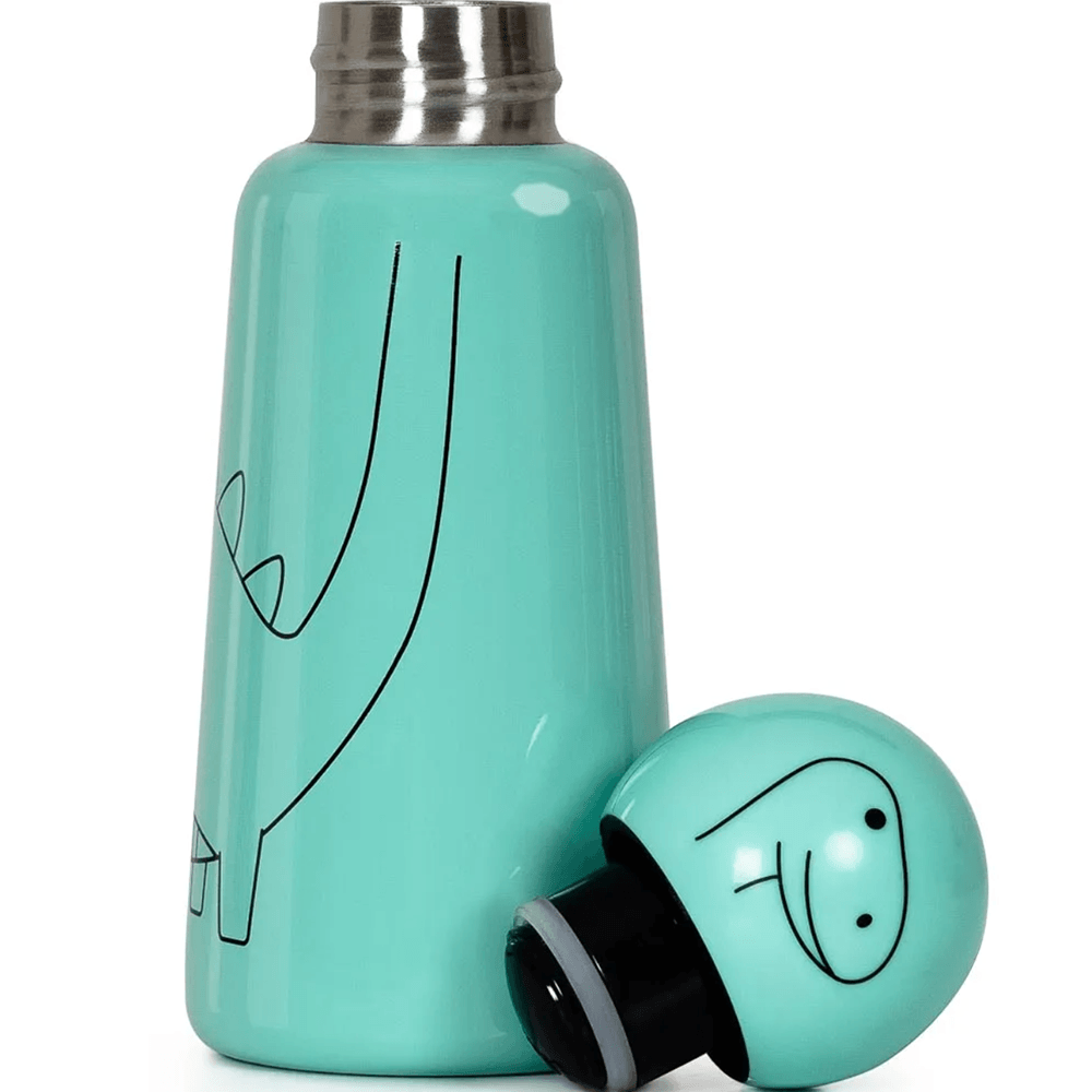 Mini Skittle Water Bottle - Diplodocus, Shopsweetluluss
