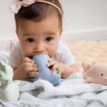 Ocean Animals Teether Set, Shopsweetluluss