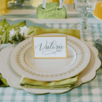 Seafoam Painted Check Placemats, Shopsweetluluss