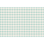 Seafoam Painted Check Placemats, Shopsweetluluss