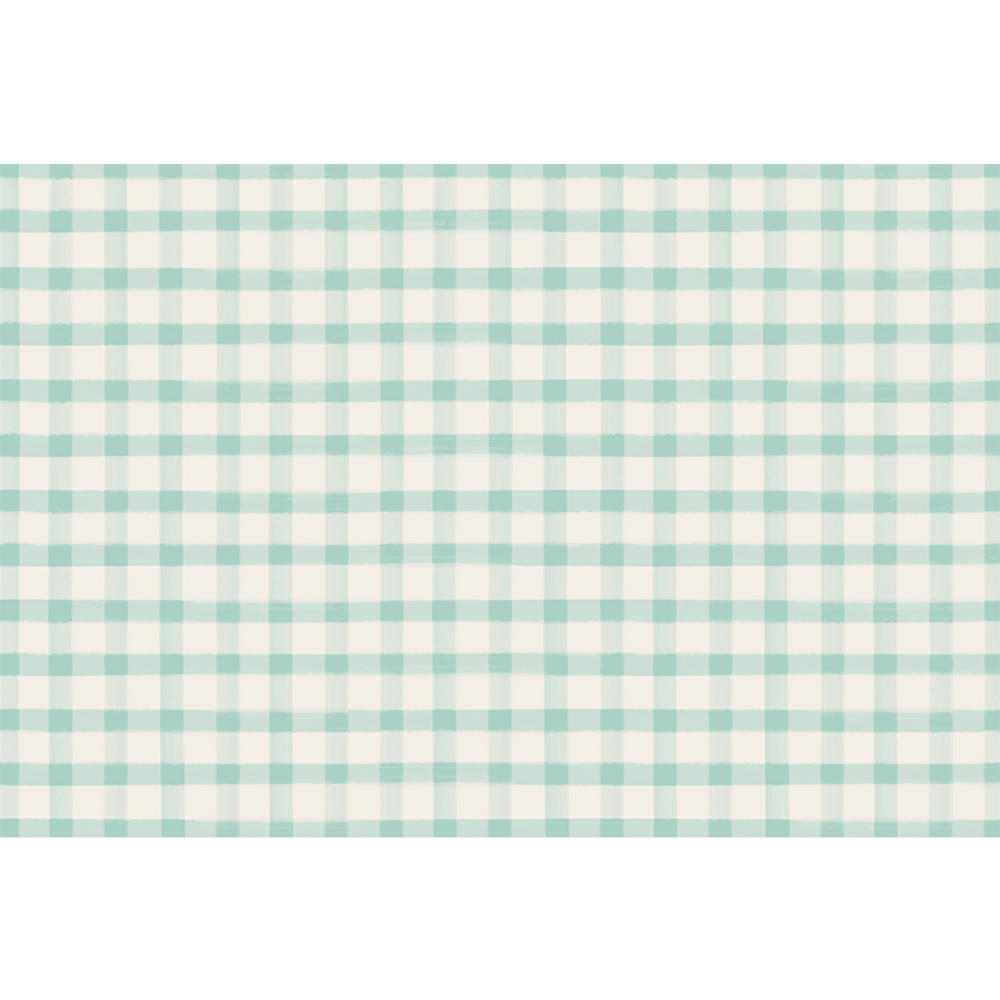 Seafoam Painted Check Placemats, Shopsweetluluss
