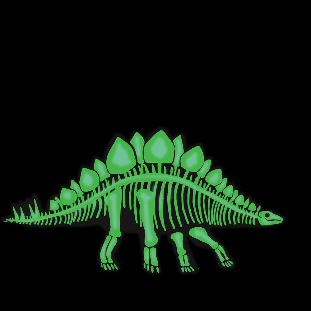 Stegosaurus 3D Dinosaur Puzzle, Shopsweetluluss