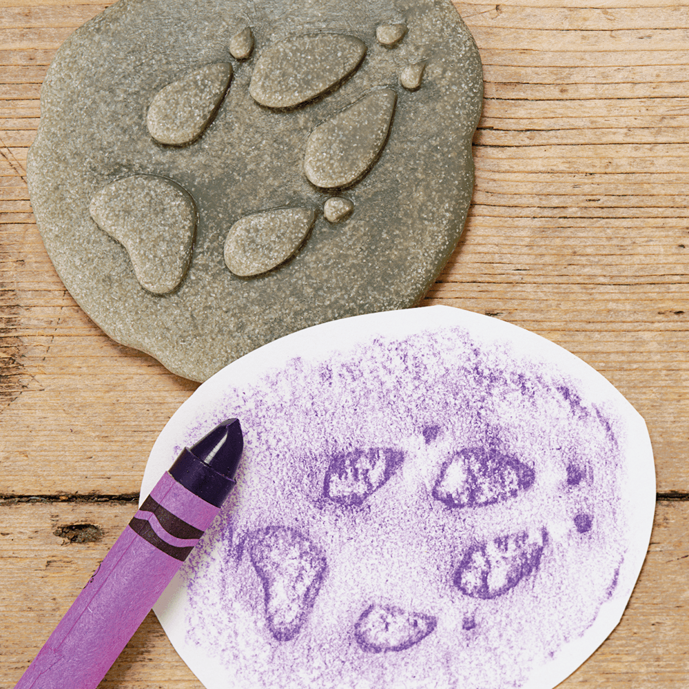 Stone Woodland Animal Footprint Set, Shopsweetluluss