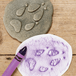 Stone Woodland Animal Footprint Set, Shopsweetluluss