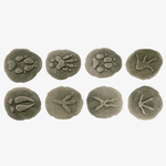 Stone Woodland Animal Footprint Set, Shopsweetluluss