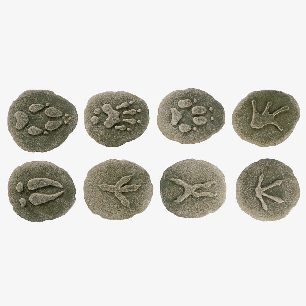 Stone Woodland Animal Footprint Set, Shopsweetluluss