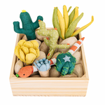 Succulent Garden Play Set, Shopsweetluluss