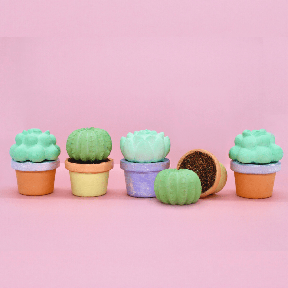 Succulents Sidewalk Chalk Set, Shopsweetluluss