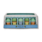 Succulents Sidewalk Chalk Set, Shopsweetluluss