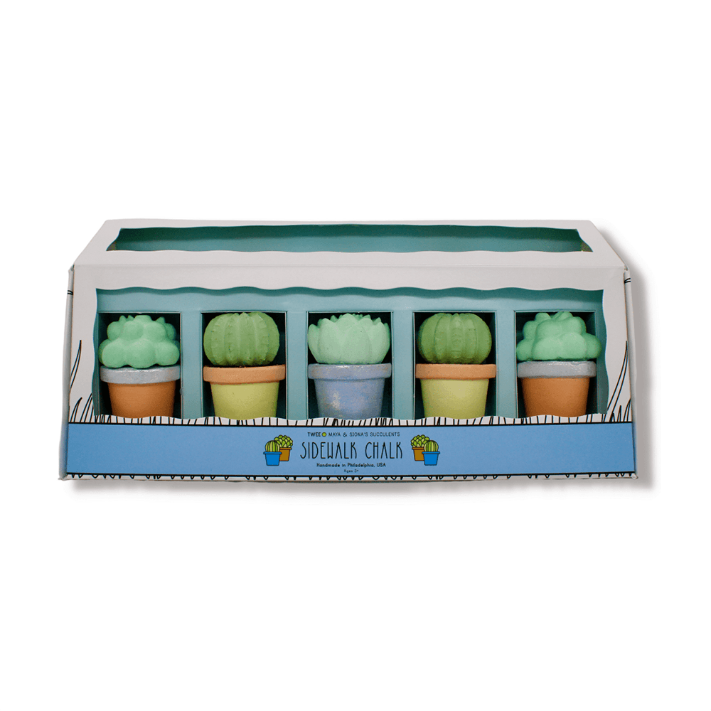 Succulents Sidewalk Chalk Set, Shopsweetluluss