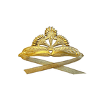 Gold Tiara Crown, Shopsweetluluss