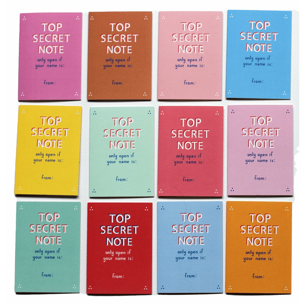 Top Secret Friendship Notes Set, Shopsweetluluss