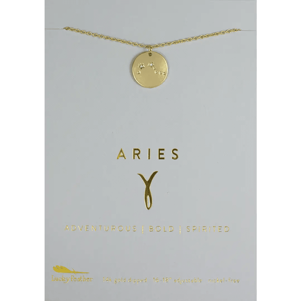 Zodiac Necklace - 12 Style Options