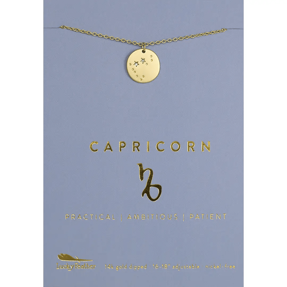 Zodiac Necklace - 12 Style Options