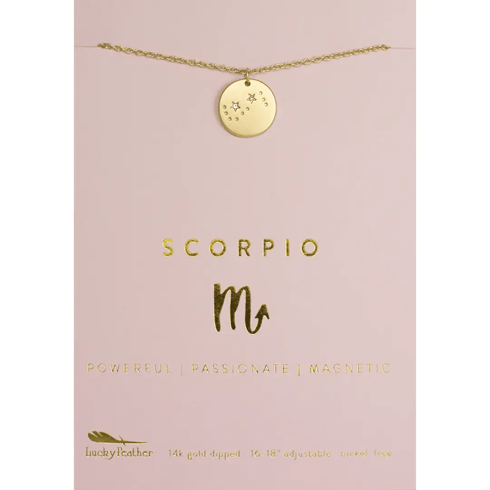 Zodiac Necklace - 12 Style Options