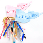 "Birthday Boy" Party Pennant, Shopsweetluluss