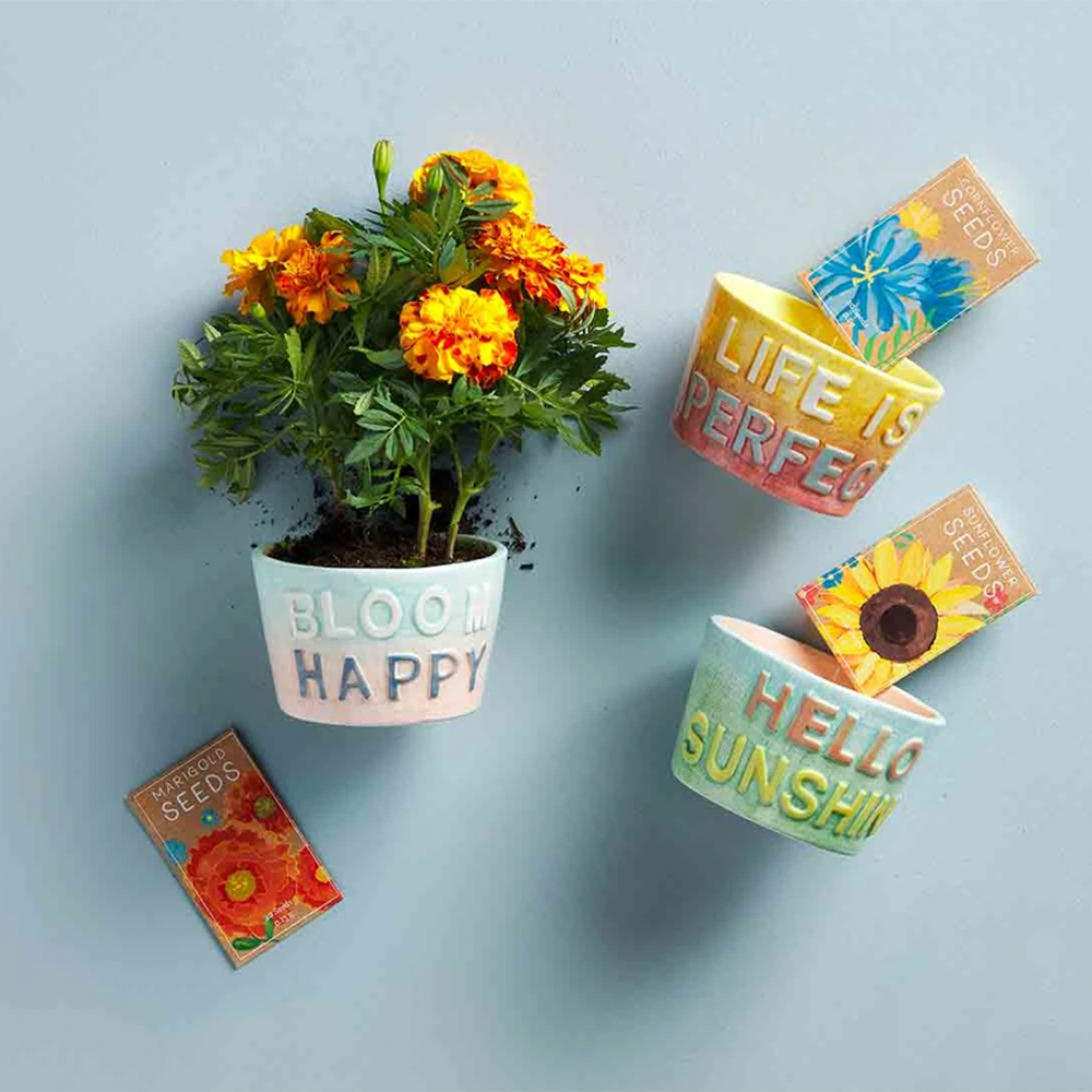 "Life is Perfect" Planter Set, Shopsweetluluss