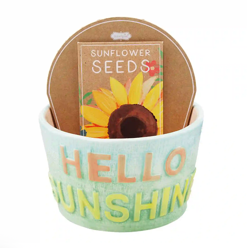 "Hello Sunshine" Planter Set, Shopsweetluluss